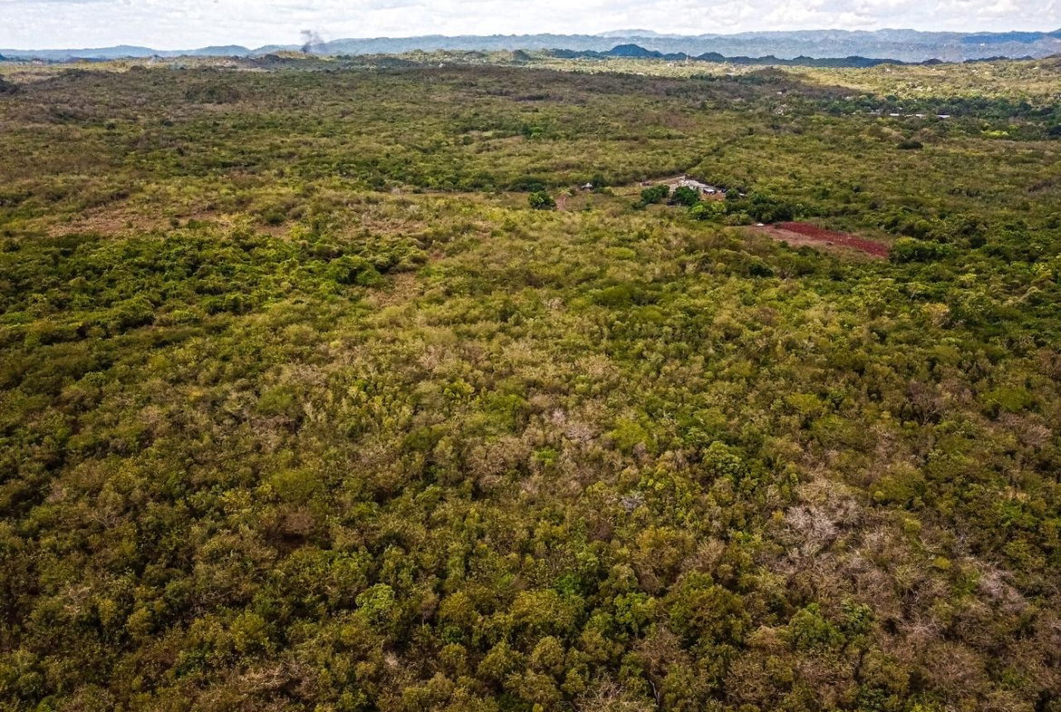 Twenty-Third image of Bammy Hall Kitson Town st in Guanaboa Vale, St. Catherine, Jamaica - property is For Sale
