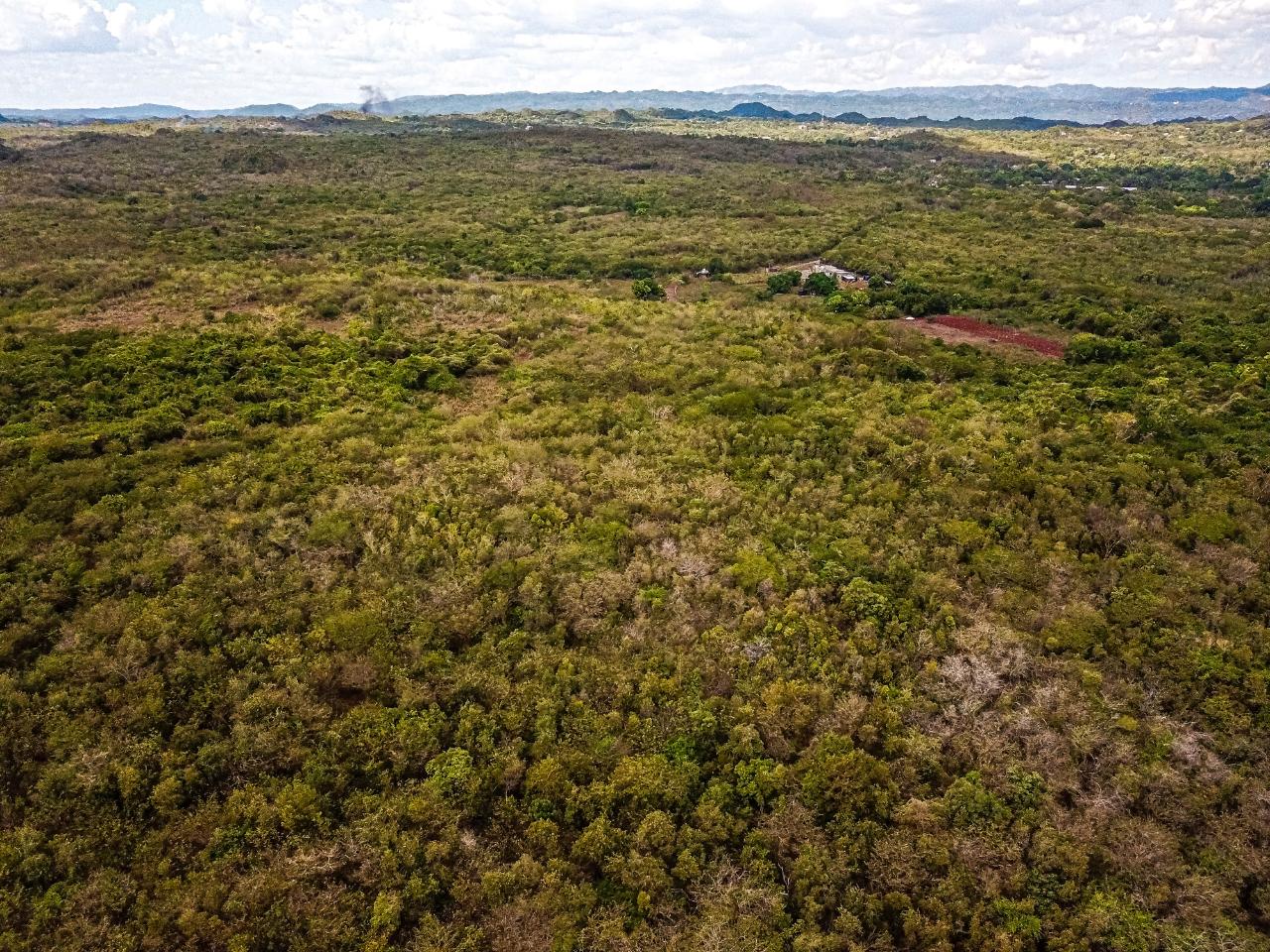 25-Acres-Farmland-for-Sale-in-Bammy-Hall-St.-Catherine-Jamaica-Development-Land-with-Utilities Twenty-Third image of Bammy Hall Kitson Town st in Guanaboa Vale, St. Catherine, Jamaica - property is For Sale