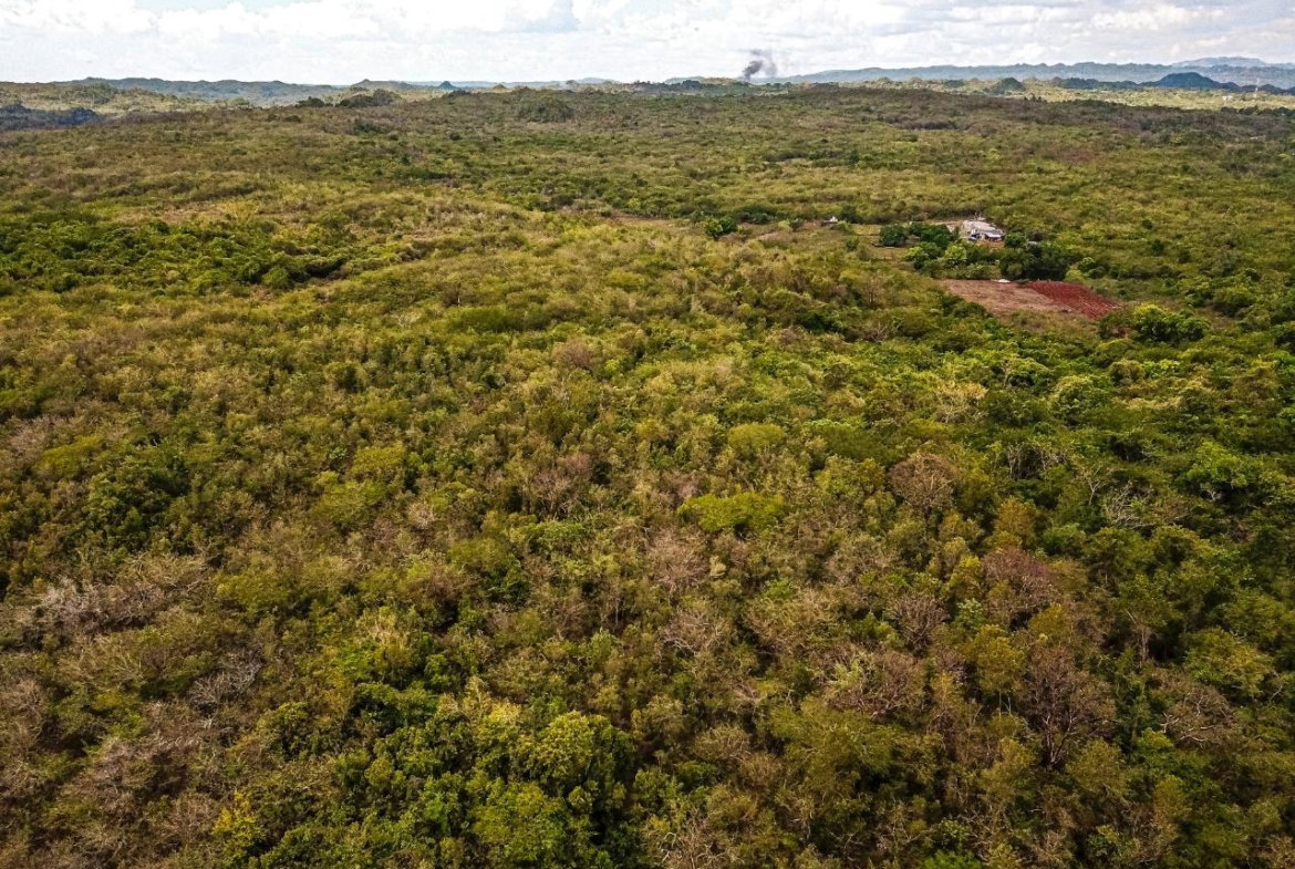 Twenty-Fourth image of Bammy Hall Kitson Town st in Guanaboa Vale, St. Catherine, Jamaica - property is For Sale
