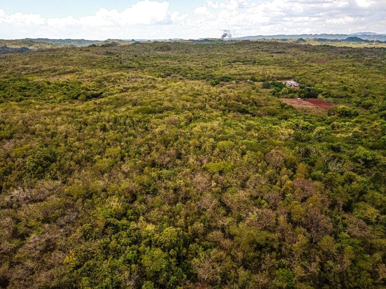 25-Acres-Farmland-for-Sale-in-Bammy-Hall-St.-Catherine-Jamaica-Development-Land-with-Utilities Twenty-Fourth image of Bammy Hall Kitson Town st in Guanaboa Vale, St. Catherine, Jamaica - property is For Sale