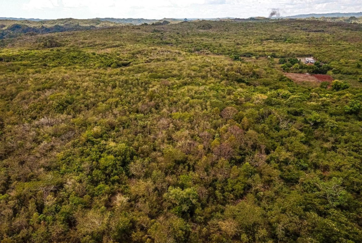 Twenty-Fifth image of Bammy Hall Kitson Town st in Guanaboa Vale, St. Catherine, Jamaica - property is For Sale