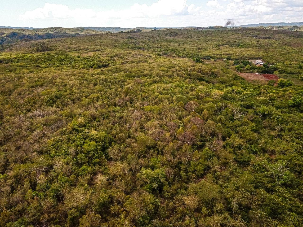 25-Acres-Farmland-for-Sale-in-Bammy-Hall-St.-Catherine-Jamaica-Development-Land-with-Utilities Twenty-Fifth image of Bammy Hall Kitson Town st in Guanaboa Vale, St. Catherine, Jamaica - property is For Sale