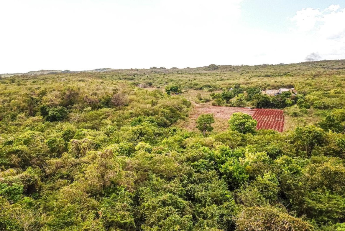 Twenty-Sixth image of Bammy Hall Kitson Town st in Guanaboa Vale, St. Catherine, Jamaica - property is For Sale