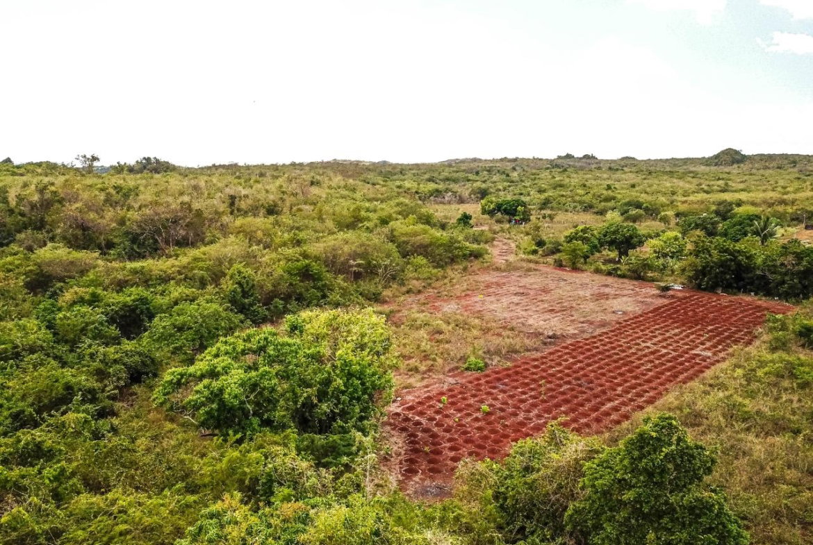 Twenty-Seventh image of Bammy Hall Kitson Town st in Guanaboa Vale, St. Catherine, Jamaica - property is For Sale