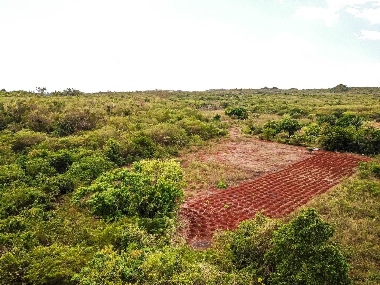 25-Acres-Farmland-for-Sale-in-Bammy-Hall-St.-Catherine-Jamaica-Development-Land-with-Utilities Twenty-Seventh image of Bammy Hall Kitson Town st in Guanaboa Vale, St. Catherine, Jamaica - property is For Sale