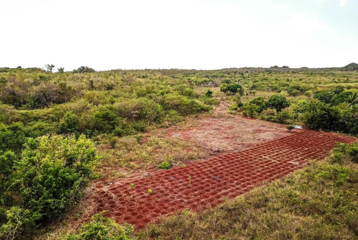 Twenty-Eighth image of Bammy Hall Kitson Town st in Guanaboa Vale, St. Catherine, Jamaica - property is For Sale