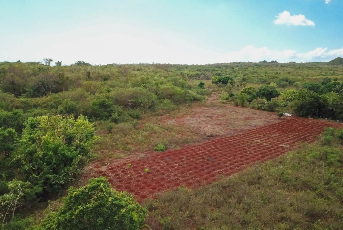 Twenty-Ninth image of Bammy Hall Kitson Town st in Guanaboa Vale, St. Catherine, Jamaica - property is For Sale