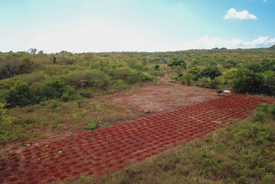 Thirtieth image of Bammy Hall Kitson Town st in Guanaboa Vale, St. Catherine, Jamaica - property is For Sale