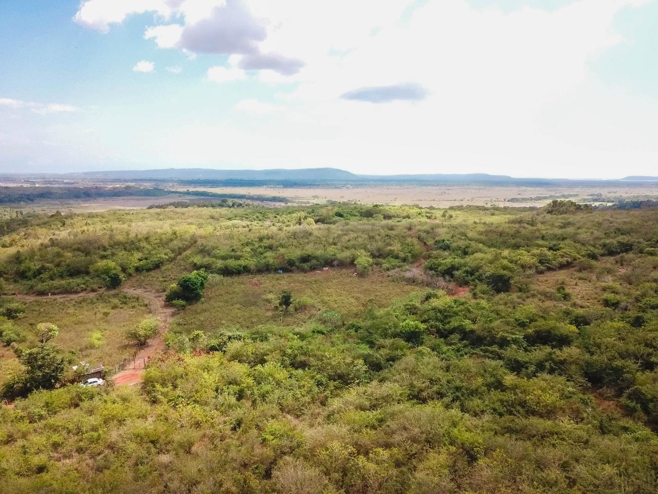 25-Acres-Farmland-for-Sale-in-Bammy-Hall-St.-Catherine-Jamaica-Development-Land-with-Utilities Fourth image of Bammy Hall Kitson Town st in Guanaboa Vale, St. Catherine, Jamaica - property is For Sale