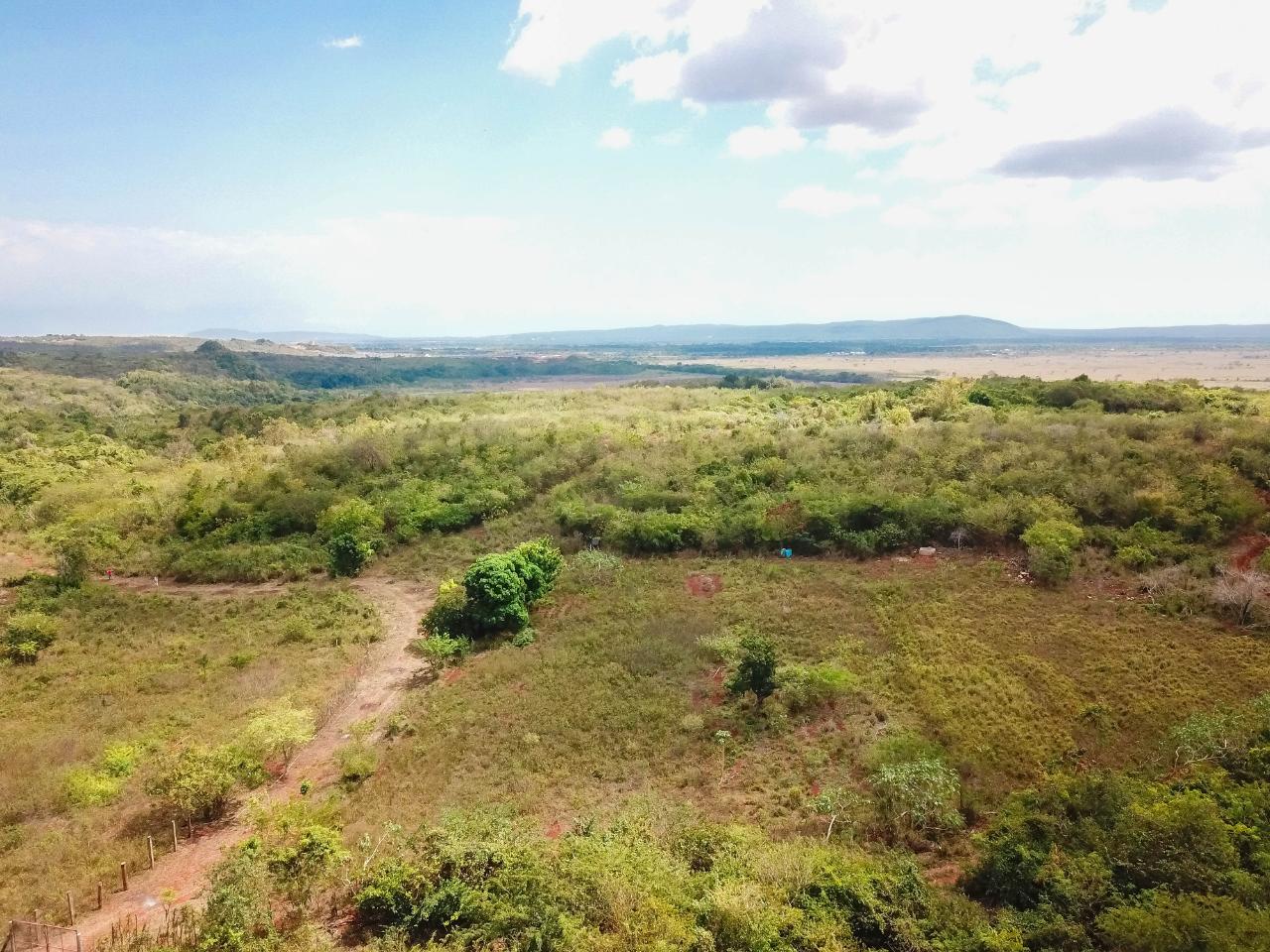 25-Acres-Farmland-for-Sale-in-Bammy-Hall-St.-Catherine-Jamaica-Development-Land-with-Utilities Fifth image of Bammy Hall Kitson Town st in Guanaboa Vale, St. Catherine, Jamaica - property is For Sale
