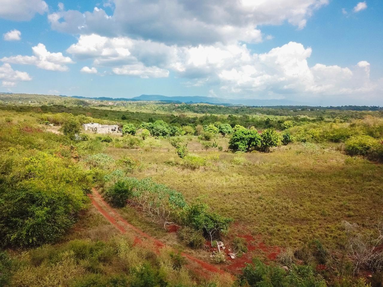 25-Acres-Farmland-for-Sale-in-Bammy-Hall-St.-Catherine-Jamaica-Development-Land-with-Utilities Sixth image of Bammy Hall Kitson Town st in Guanaboa Vale, St. Catherine, Jamaica - property is For Sale