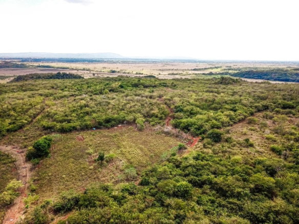 First image of Bammy Hall Kitson Town st in Guanaboa Vale, St. Catherine, Jamaica - property is For Sale