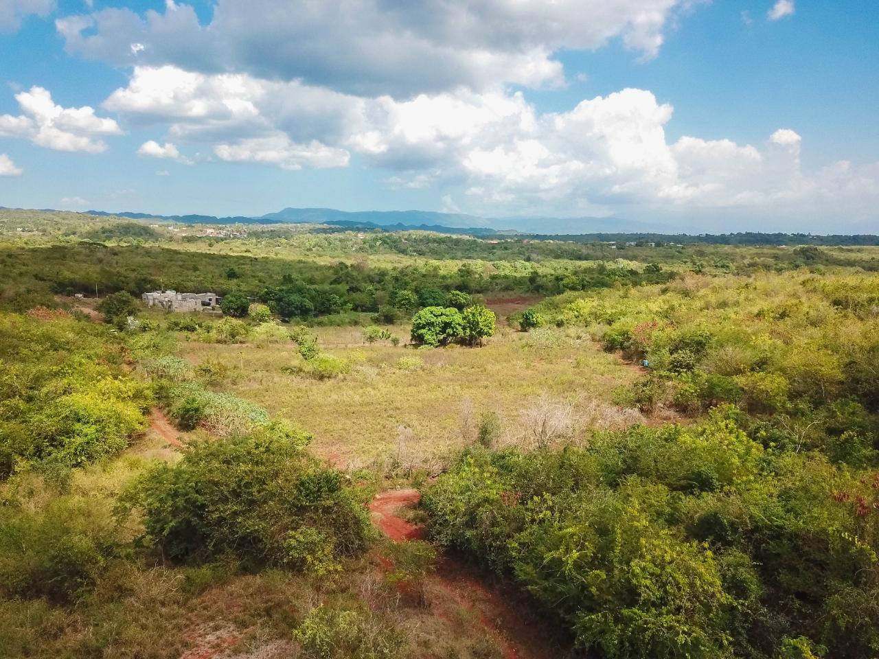 25-Acres-Farmland-for-Sale-in-Bammy-Hall-St.-Catherine-Jamaica-Development-Land-with-Utilities Seventh image of Bammy Hall Kitson Town st in Guanaboa Vale, St. Catherine, Jamaica - property is For Sale