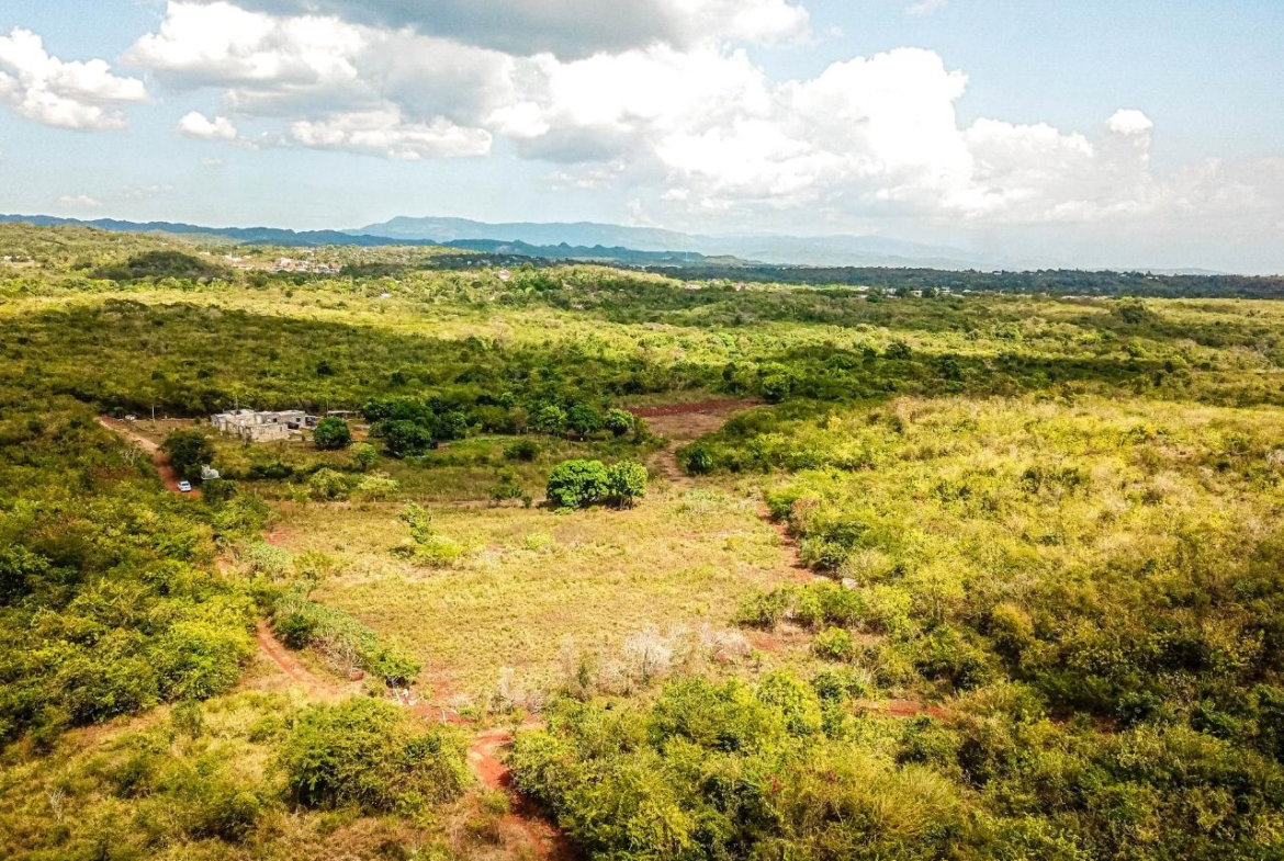 Eighth image of Bammy Hall Kitson Town st in Guanaboa Vale, St. Catherine, Jamaica - property is For Sale
