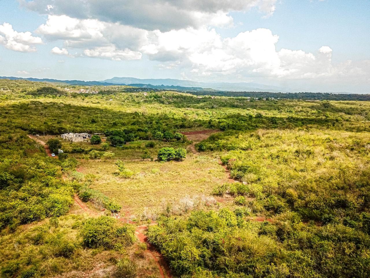 25-Acres-Farmland-for-Sale-in-Bammy-Hall-St.-Catherine-Jamaica-Development-Land-with-Utilities Eighth image of Bammy Hall Kitson Town st in Guanaboa Vale, St. Catherine, Jamaica - property is For Sale