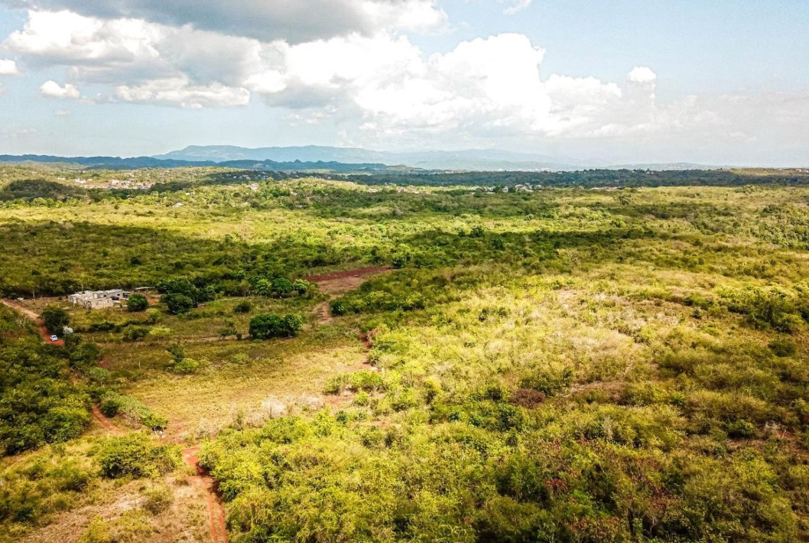 Ninth image of Bammy Hall Kitson Town st in Guanaboa Vale, St. Catherine, Jamaica - property is For Sale