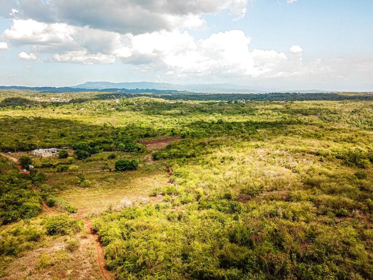 25-Acres-Farmland-for-Sale-in-Bammy-Hall-St.-Catherine-Jamaica-Development-Land-with-Utilities Ninth image of Bammy Hall Kitson Town st in Guanaboa Vale, St. Catherine, Jamaica - property is For Sale