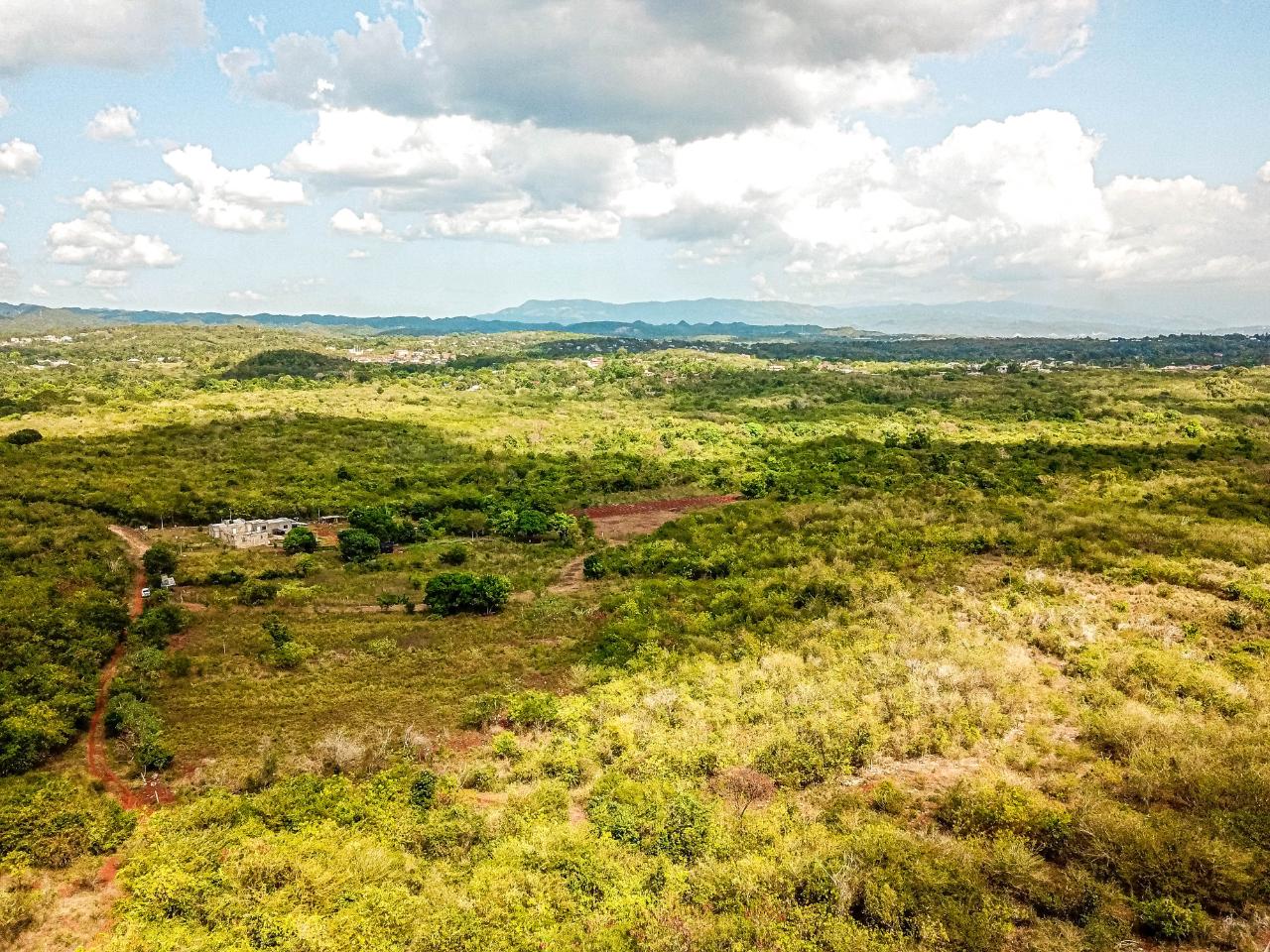 25-Acres-Farmland-for-Sale-in-Bammy-Hall-St.-Catherine-Jamaica-Development-Land-with-Utilities Tenth image of Bammy Hall Kitson Town st in Guanaboa Vale, St. Catherine, Jamaica - property is For Sale