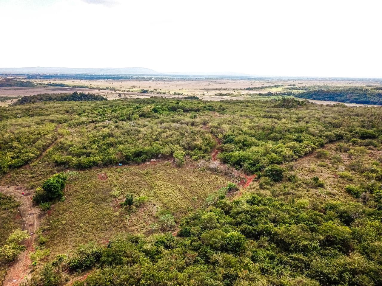 25-Acres-Farmland-for-Sale-in-Bammy-Hall-St.-Catherine-Jamaica-Development-Land-with-Utilities First image of Bammy Hall Kitson Town st in Guanaboa Vale, St. Catherine, Jamaica - property is For Sale