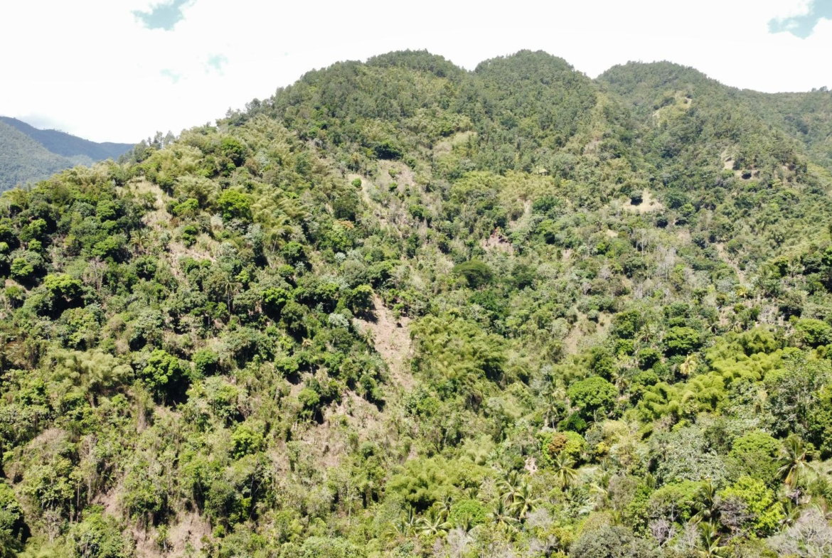 First image of Belle Vue in Bellevue, Portland, Jamaica - property is For Sale