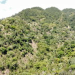 First image of Belle Vue in Bellevue, Portland, Jamaica - property is For Sale