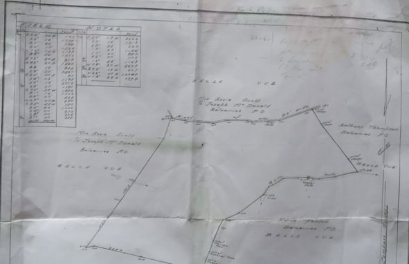 Fourth image of Belle Vue in Bellevue, Portland, Jamaica - property is For Sale