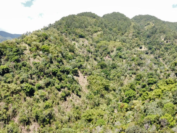 First image of Belle Vue in Bellevue, Portland, Jamaica - property is For Sale