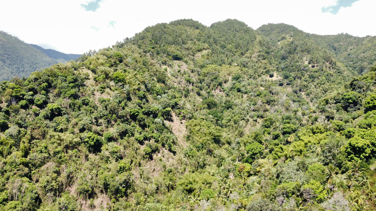 First image of Belle Vue in Bellevue, Portland, Jamaica - property is For Sale