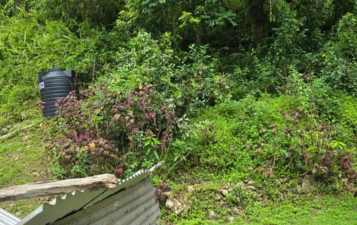 Third image of Green Valley, New Market in New Market, St. Elizabeth, Jamaica - property is For Sale
