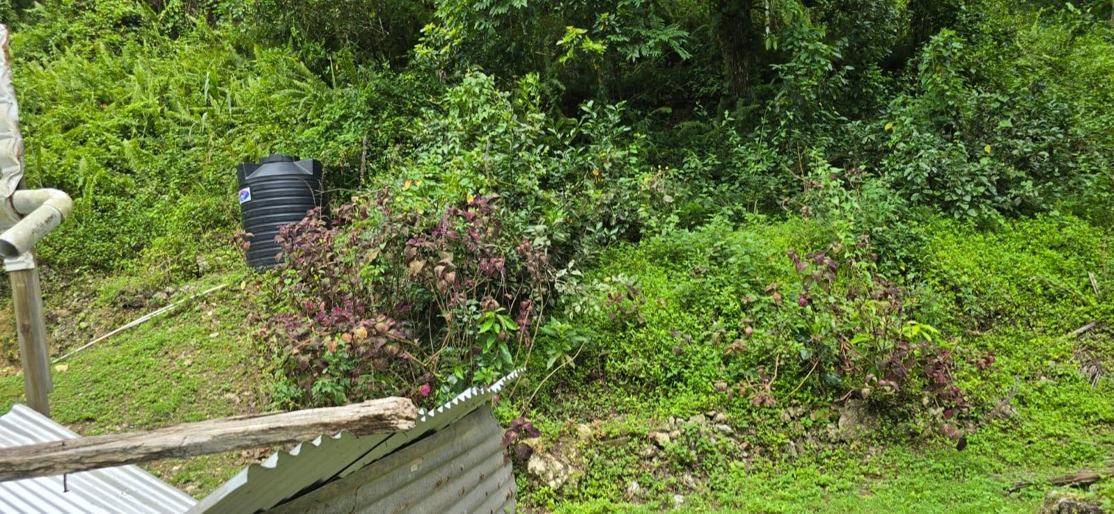 Third image of Green Valley, New Market in New Market, St. Elizabeth, Jamaica - property is For Sale
