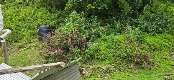 Third image of Green Valley, New Market in New Market, St. Elizabeth, Jamaica - property is For Sale