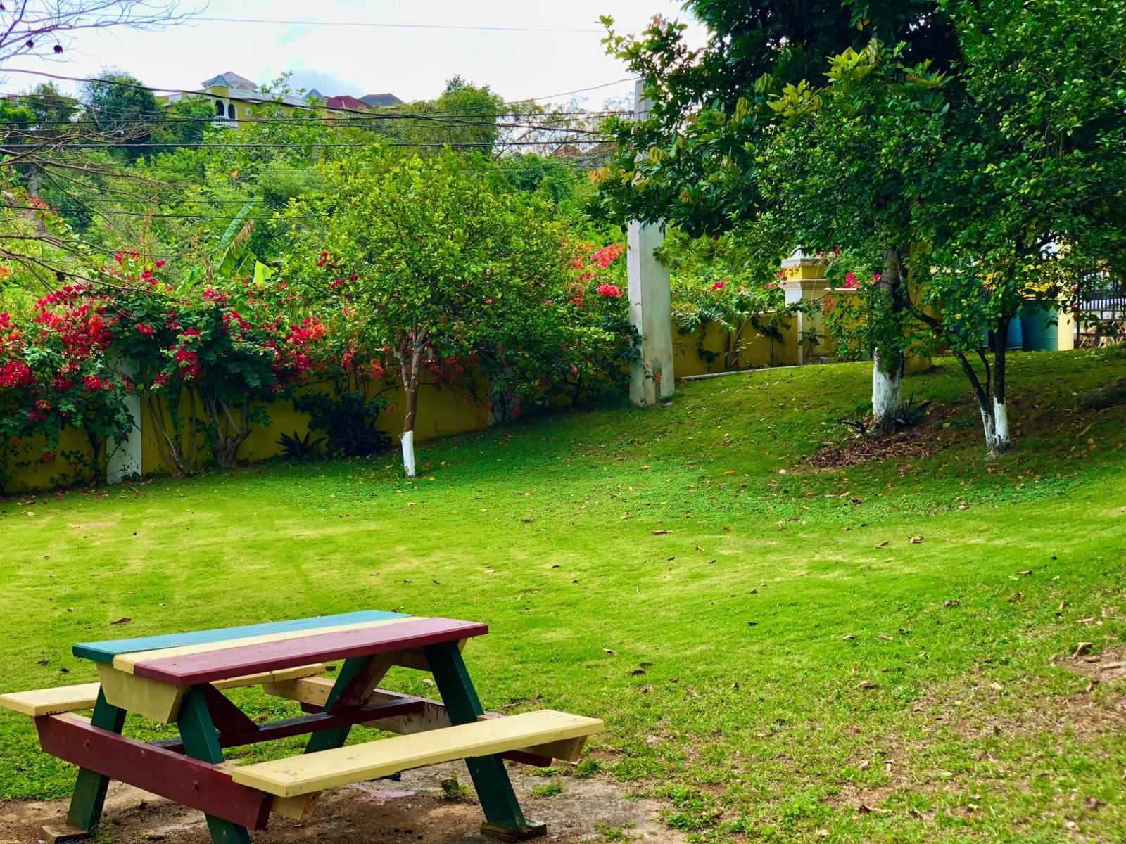 Twenty-Second image of Apt 2-25 Hague & Clifton in HAGUE HOUSING SCHEME, Trelawny, Jamaica - property is For Rent