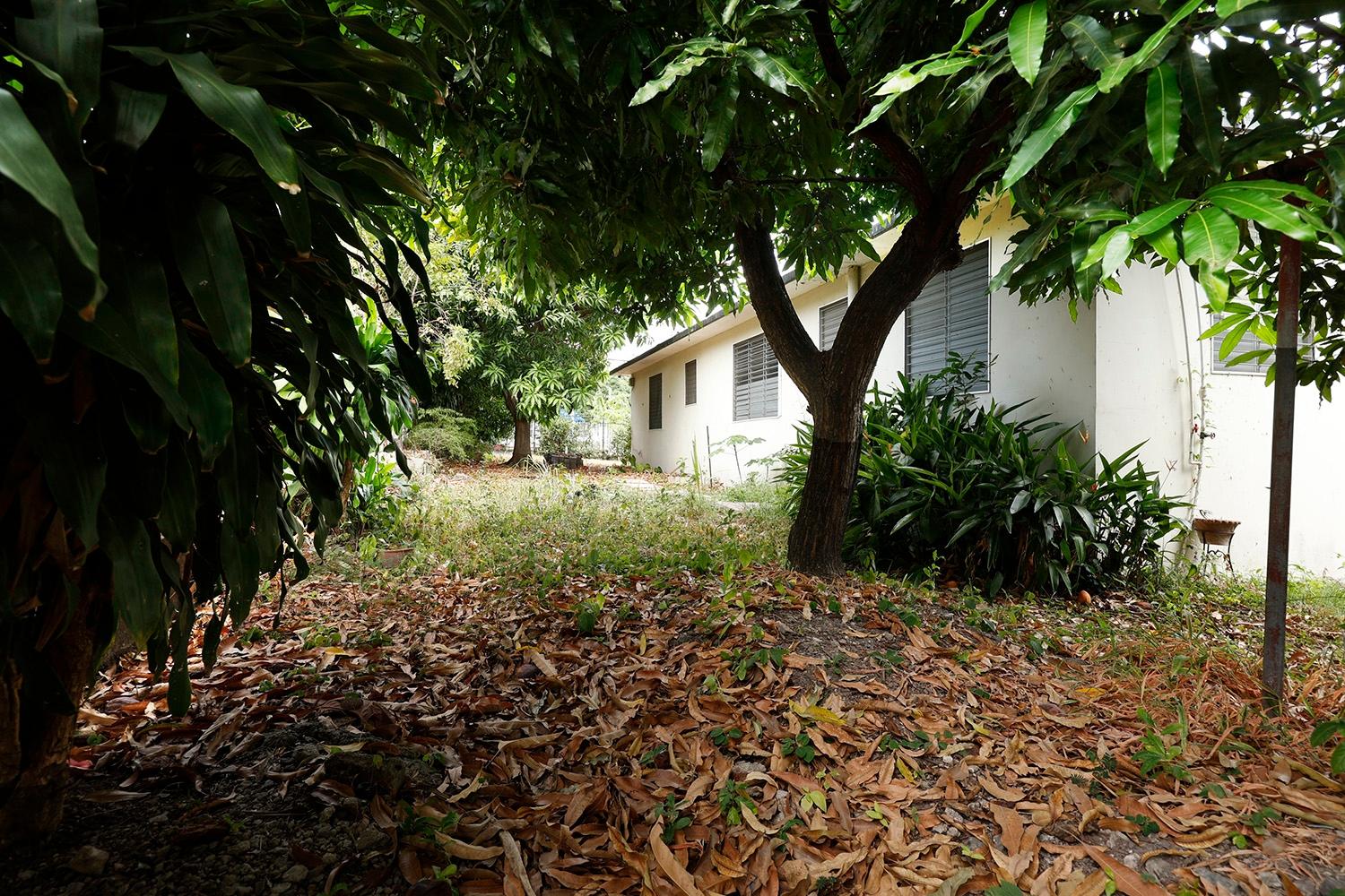 Sixteenth image of 31 Hart Boulevard in Kingston 6, St. Andrew, Jamaica - property is For Sale