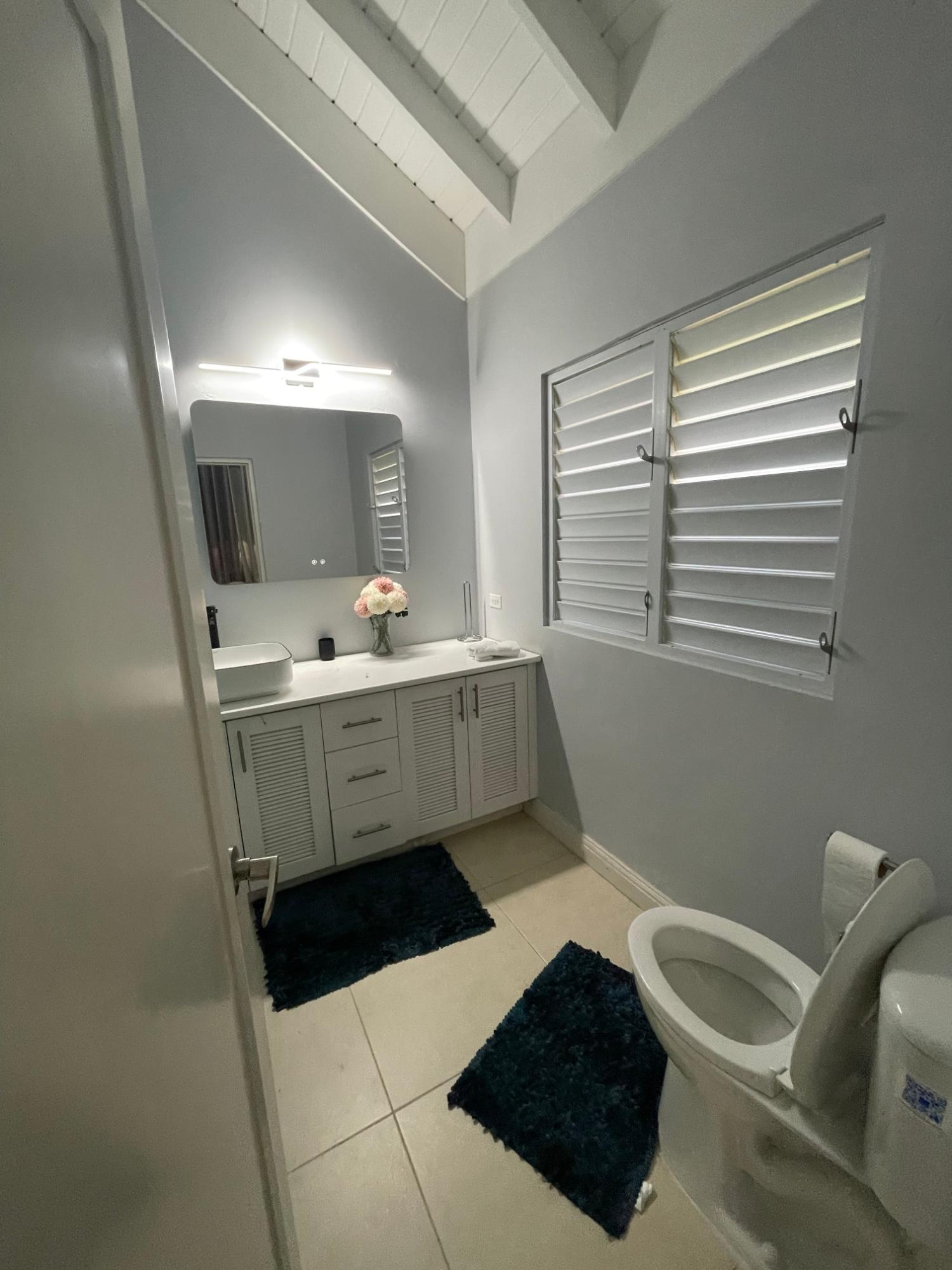 3-Bedroom-House-for-Sale-at-The-Palms-Richmond-Estate-St.-Ann-Jamaica Fifteenth image of 336 Guava Avenue, "the Palms" in Richmond, St. Ann, Jamaica - property is For Sale