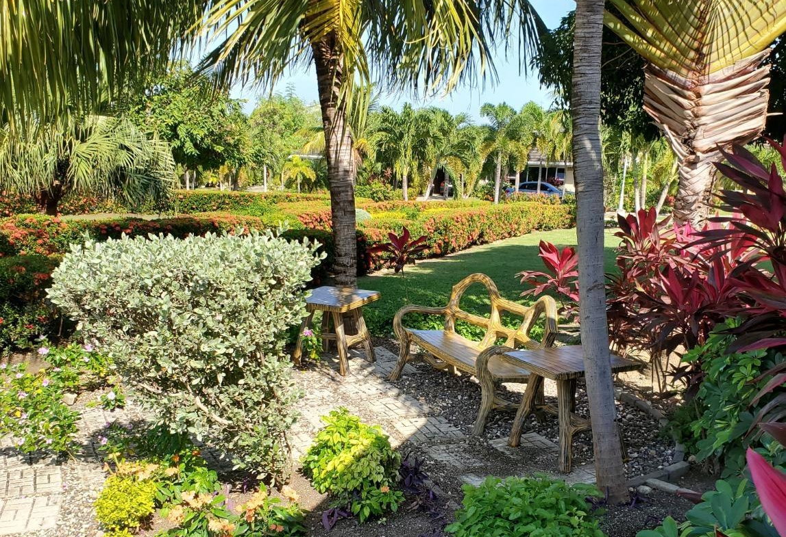 Twenty-First image of 336 Guava Avenue, 