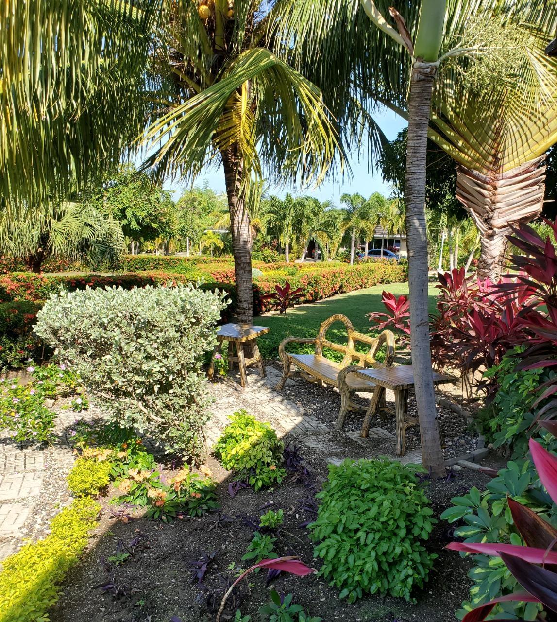 3-Bedroom-House-for-Sale-at-The-Palms-Richmond-Estate-St.-Ann-Jamaica Twenty-First image of 336 Guava Avenue, "the Palms" in Richmond, St. Ann, Jamaica - property is For Sale