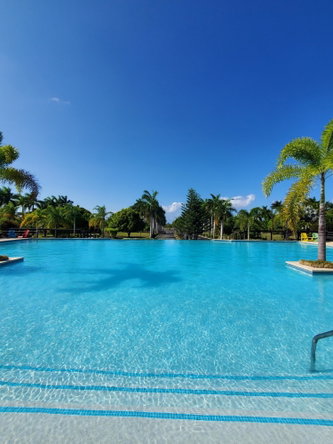 Twenty-Fifth image of 336 Guava Avenue, "the Palms" in Richmond, St. Ann, Jamaica - property is For Sale