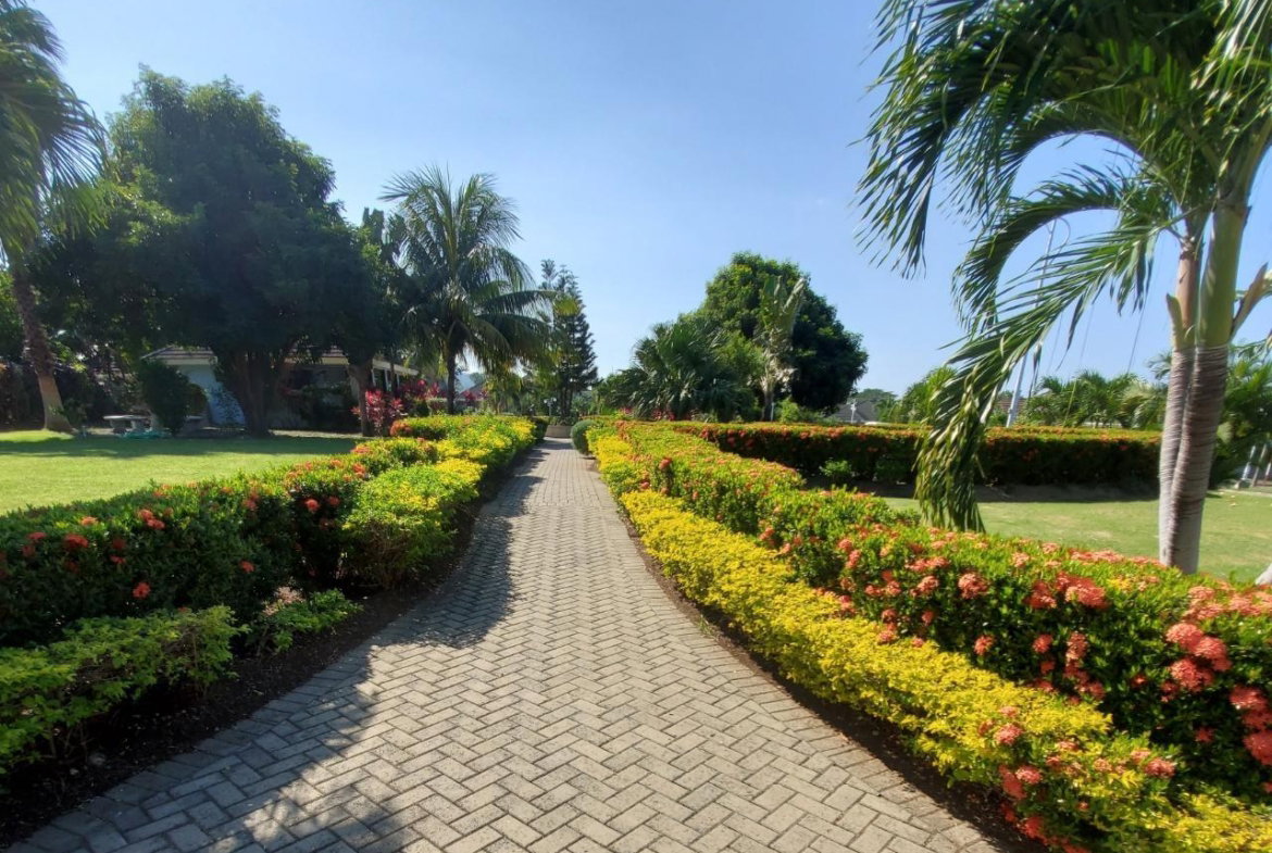 Twenty-Eighth image of 336 Guava Avenue, 