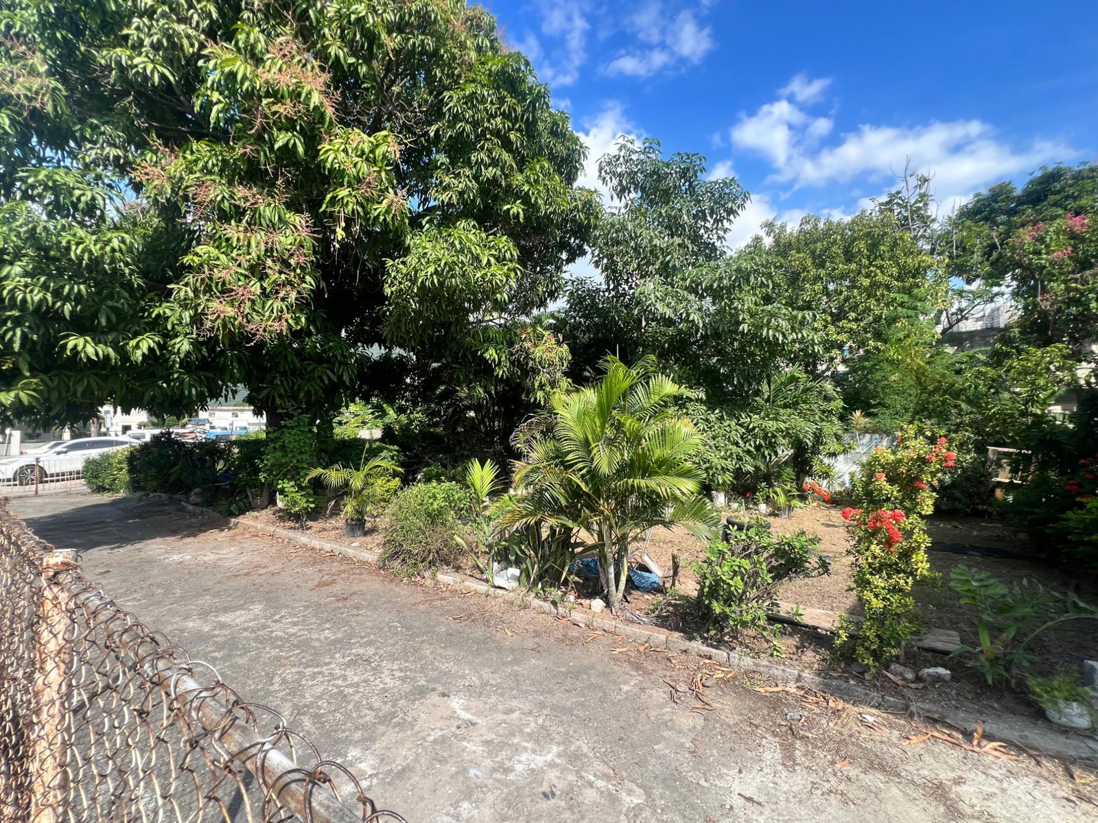 Fourth image of 1 Seabreeze Avenue in Kingston 2, Kingston, Jamaica - property is For Sale