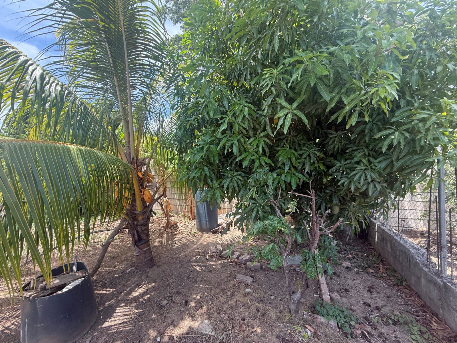 Eighth image of 20- Orchard Farm in Spanish Town, St. Catherine, Jamaica - property is For Sale