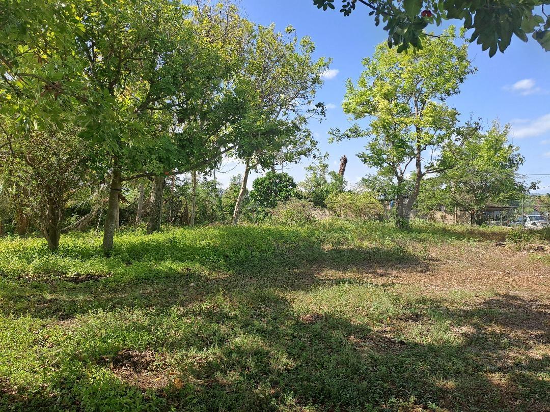 Fifth image of Paisley Avenue in May Pen, Clarendon, Jamaica - property is For Sale