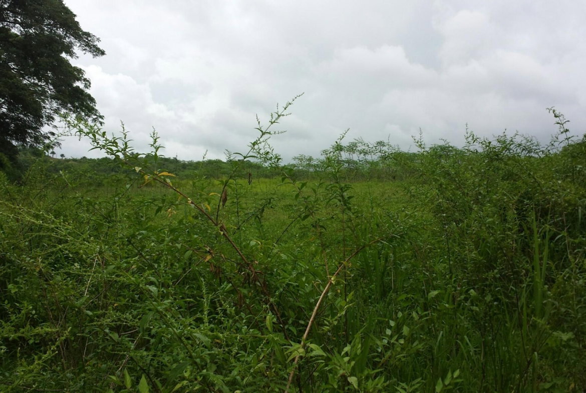 Second image of Rock River Main Road in Becford Kraal, Clarendon, Jamaica - property is For Sale