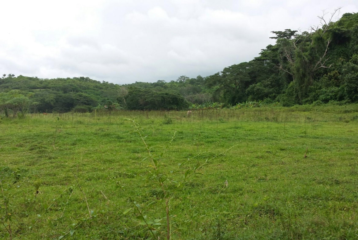 First image of Rock River Main Road in Becford Kraal, Clarendon, Jamaica - property is For Sale