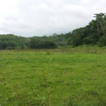 First image of Rock River Main Road in Becford Kraal, Clarendon, Jamaica - property is For Sale