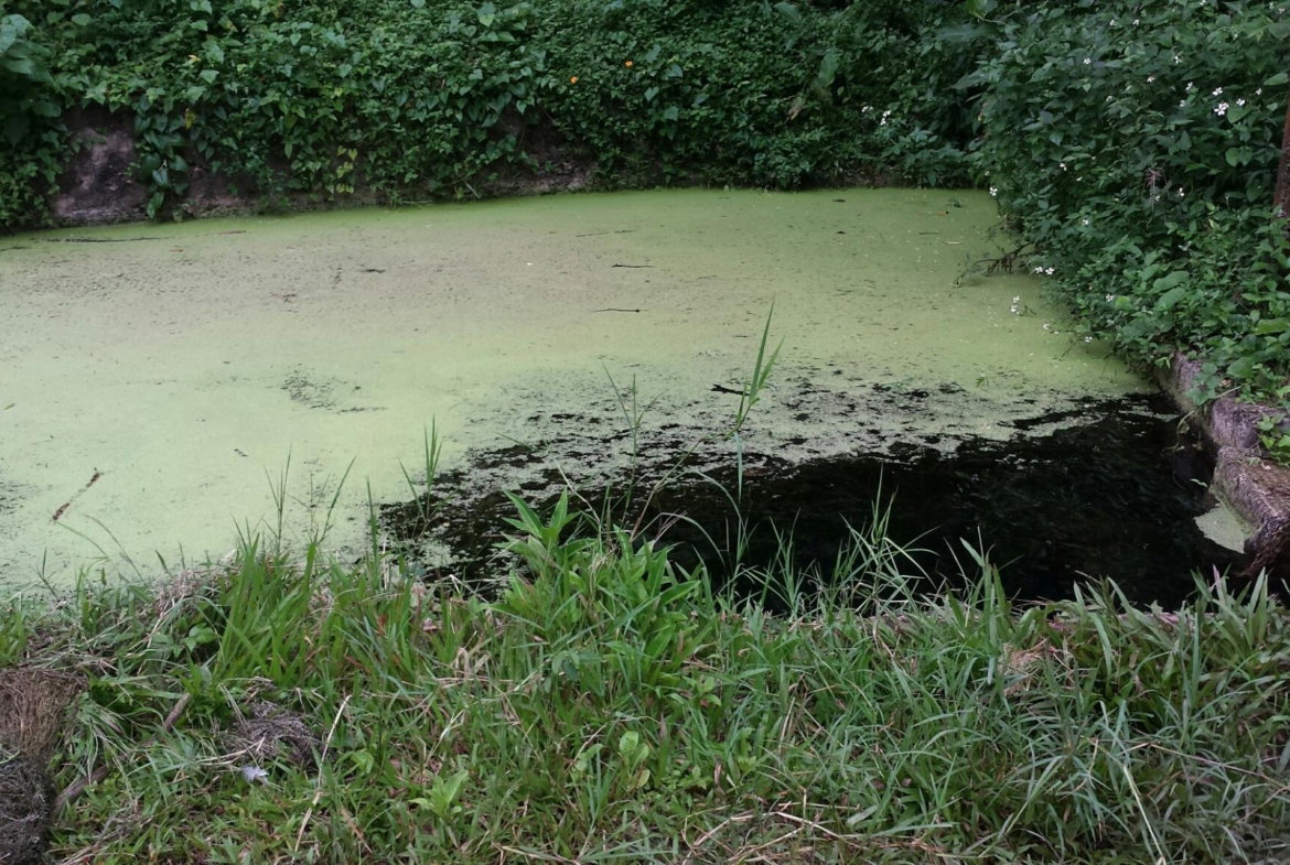 Third image of Rock River Main Road in Becford Kraal, Clarendon, Jamaica - property is For Sale
