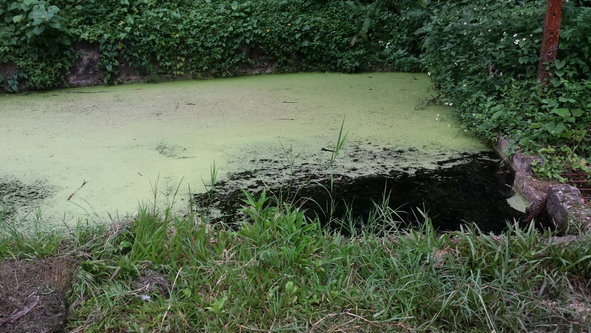 Third image of Rock River Main Road in Becford Kraal, Clarendon, Jamaica - property is For Sale