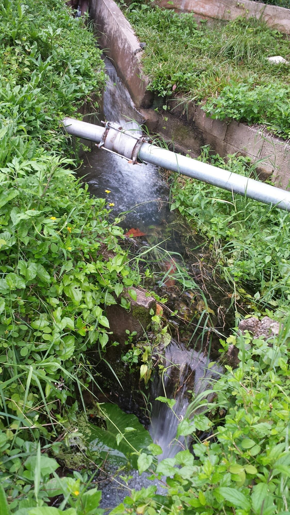 Fourth image of Rock River Main Road in Becford Kraal, Clarendon, Jamaica - property is For Sale