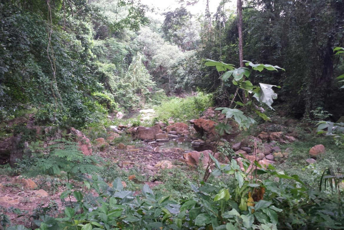 Fifth image of Rock River Main Road in Becford Kraal, Clarendon, Jamaica - property is For Sale