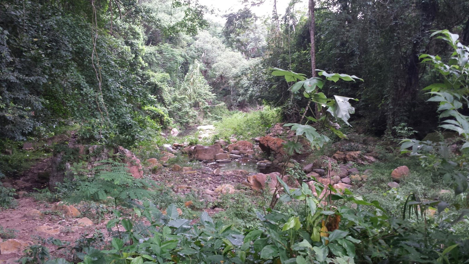 Fifth image of Rock River Main Road in Becford Kraal, Clarendon, Jamaica - property is For Sale