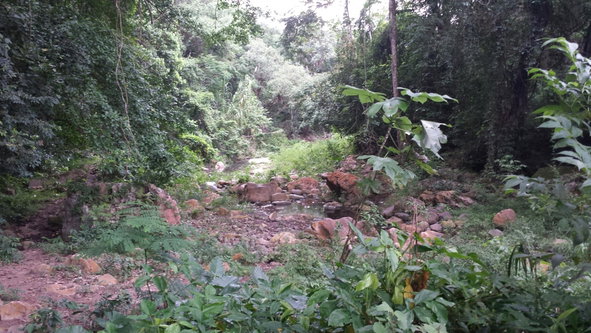 Fifth image of Rock River Main Road in Becford Kraal, Clarendon, Jamaica - property is For Sale